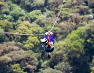 TSITSIKAMMA CANOPY TOURS