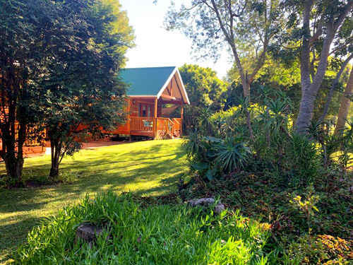 Big Tree Cottage